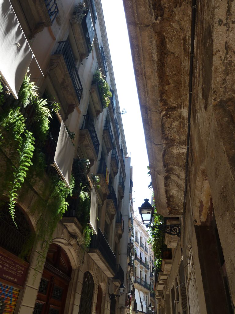 P1100759